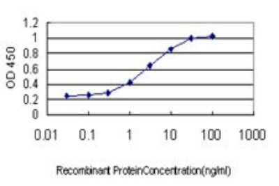 ELISA: Neuregulin-2 Antibody (3D2) [H00009542-M01]