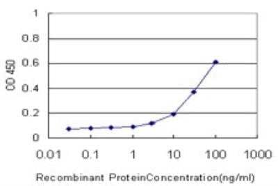 ELISA: Neurogenin-2 Antibody (1B2) [H00063973-M01]