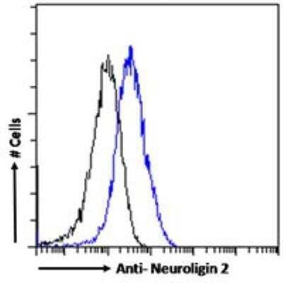 Flow Cytometry: Neuroligin 2/NLGN2 Antibody [NBP1-00220]