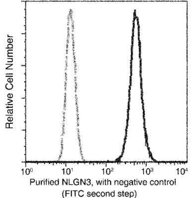 Flow Cytometry: Neuroligin 3/NLGN3 Antibody (242) [NBP2-89824]