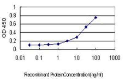 ELISA: Neuroligin 4Y/NLGN4Y Antibody (1E4) [H00022829-M01]