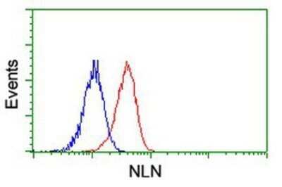 Flow Cytometry: Neurolysin Antibody (OTI1D6) - Azide and BSA Free [NBP2-72961]