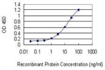 ELISA: Neuronal Pentraxin 1 Antibody (7E6) [H00004884-M06]