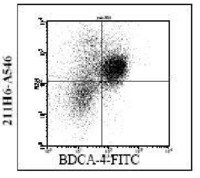 Flow Cytometry: Neuropilin-1 Antibody (211H6.01) [DDX0440P-100]