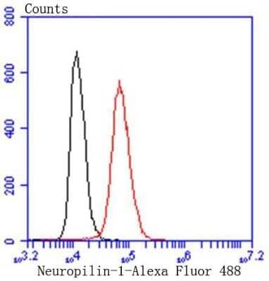 Flow Cytometry: Neuropilin-1 Antibody (ST05-30) [NBP2-67539]