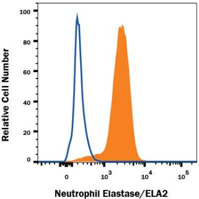 Flow Cytometry: Neutrophil Elastase/ELA2 Antibody (950334) - Azide and BSA Free [MAB9167]
