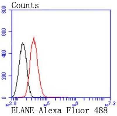 Flow Cytometry: Neutrophil Elastase/ELA2 Antibody (JF098-6) [NBP2-66972]