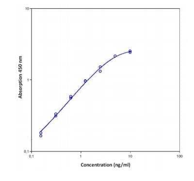 ELISA: Human Neutrophil Elastase/ELA2 ELISA Kit (Colorimetric) [NBP1-91266]