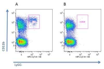 Flow Cytometry: Neutrophils Antibody (Nimp-R14) - Azide and BSA Free [NBP2-80063]