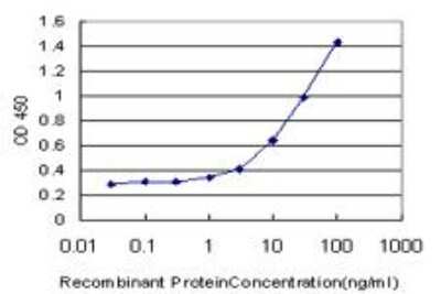 ELISA: Nicotinamide N-Methyltransferase/NNMT Antibody (2F2) [H00004837-M03]