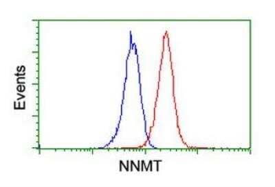 Flow Cytometry: Nicotinamide N-Methyltransferase/NNMT Antibody (OTI3D8) [NBP2-00537]