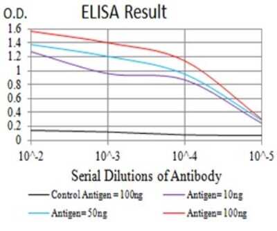 ELISA: Nicotinic Acetylcholine R alpha 10/CHRNA10 Antibody (4E2D1) - BSA Free [NBP2-61666]