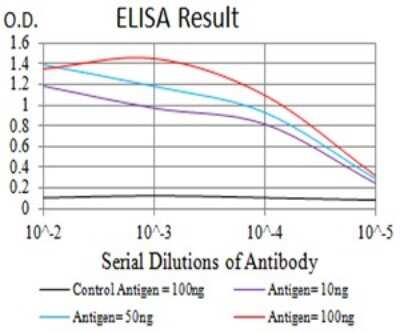 ELISA: Nicotinic Acetylcholine R alpha 10/CHRNA10 Antibody (6C10E8) - BSA Free [NBP2-61660]