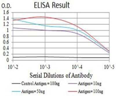 ELISA: Nicotinic Acetylcholine R alpha 4/CHRNA4 Antibody (7B4H1) - BSA Free [NBP2-61674]