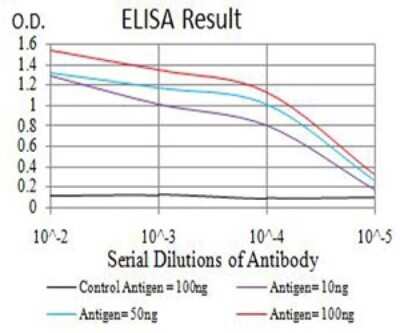 ELISA: Nicotinic Acetylcholine R alpha 6/CHRNA6 Antibody (5B6G8) - BSA Free [NBP2-61679]