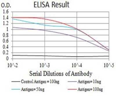 ELISA: Nicotinic Acetylcholine R alpha 7/CHRNA7 Antibody (7F10F1) - BSA Free [NBP2-61738]
