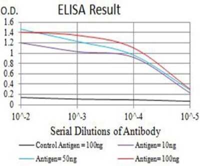 ELISA: Nicotinic Acetylcholine R alpha 7/CHRNA7 Antibody (7F10G1) - BSA Free [NBP2-61739]