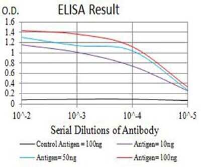 ELISA: Nicotinic Acetylcholine Receptor beta 4 Antibody (1H11F2) - BSA Free [NBP2-61743]