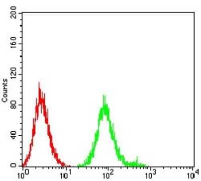 Flow Cytometry: Nicotinic Acetylcholine Receptor beta 4 Antibody (1H11F2) - BSA Free [NBP2-61743]
