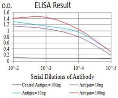 ELISA: Nicotinic Acetylcholine Receptor beta 4 Antibody (7F5B2) - BSA Free [NBP2-61742]