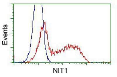 Flow Cytometry: Nitrilase 1 Antibody (OTI3A11) [NBP2-02462]