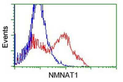 Flow Cytometry: NMNAT-1 Antibody (OTI1G4) [NBP2-03452]