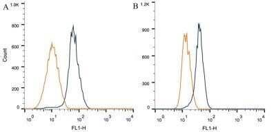 Flow Cytometry: Notch-1 Antibody (mN1A) - Azide and BSA Free [NBP2-80884]
