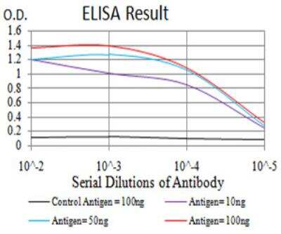ELISA: Notch-3 Antibody (2E4D11) - BSA Free [NBP2-52521]