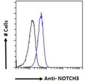 Flow Cytometry: Notch-3 Antibody [NB100-2414]