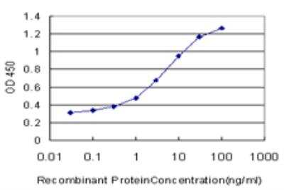 ELISA: Nrf2 Antibody (1B8) [H00004780-M03]
