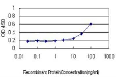 ELISA: Nrf2 Antibody (2G7) [H00004780-M02]