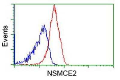 Flow Cytometry: Nse2 Antibody (OTI6A6) [NBP2-02956]