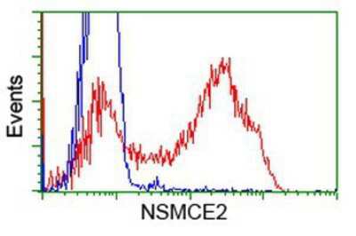 Flow Cytometry: Nse2 Antibody (OTI6A6) [NBP2-02956]