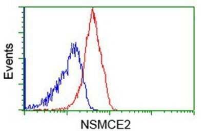 Flow Cytometry: Nse2 Antibody (OTI6A6) - Azide and BSA Free [NBP2-73070]