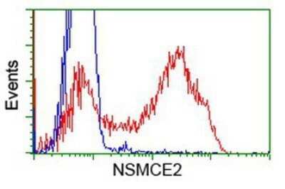 Flow Cytometry: Nse2 Antibody (OTI6A6) - Azide and BSA Free [NBP2-73070]