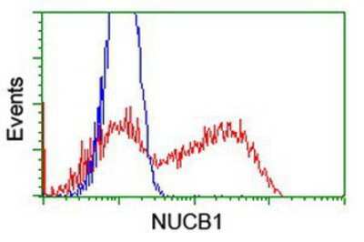 Flow Cytometry: Nucleobindin 1 Antibody (OTI1A5) [NBP2-01446]