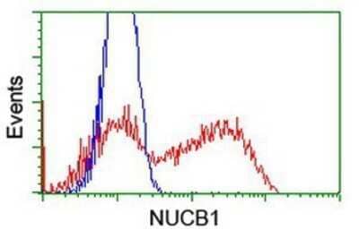 Flow Cytometry: Nucleobindin 1 Antibody (OTI1A5) - Azide and BSA Free [NBP2-73086]