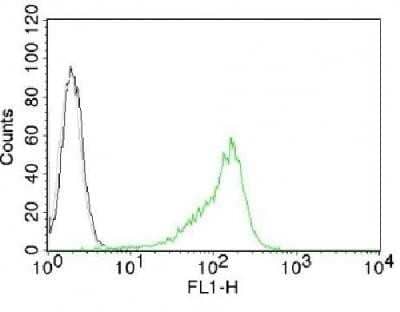 Flow Cytometry: Nucleoli Marker Antibody (NM95) - Azide and BSA Free [NBP2-34695]