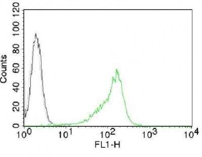Flow Cytometry: Nucleoli Marker Antibody (NM95) [NBP2-32886]