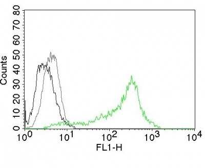 Flow Cytometry: Nucleolin Antibody (364-5) [NBP2-44612]