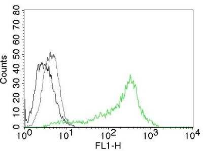 Flow Cytometry: Nucleolin Antibody (364-5) [NBP2-44612]