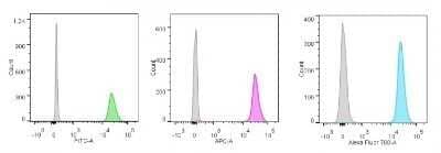 Flow Cytometry: Nucleolin Antibody (NCL/902) - Azide and BSA Free [NBP2-47860]