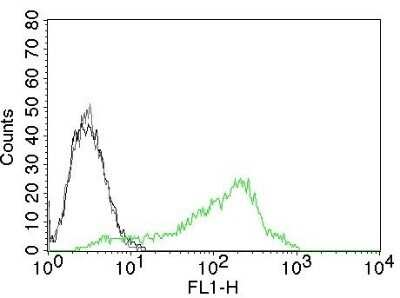 Flow Cytometry: Nucleolin Antibody (NCL/902) - Azide and BSA Free [NBP2-47860]
