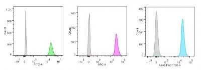 Flow Cytometry: Nucleolin Antibody (NCL/902) [NBP2-44610]