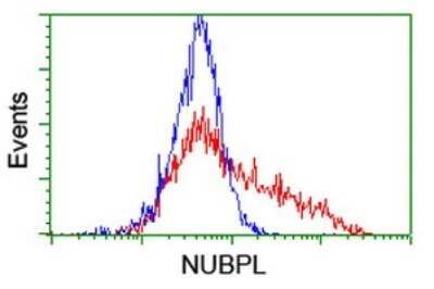 Flow Cytometry: Nucleotide binding protein like Antibody (OTI5D5) - Azide and BSA Free [NBP2-73094]