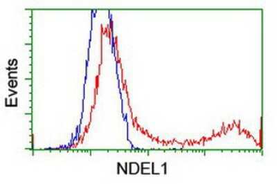 Flow Cytometry: Nudel Antibody (OTI5E11) [NBP2-01086]