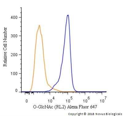 Flow Cytometry: O-GlcNAc Antibody (RL2) - Azide and BSA Free [NBP2-80892]