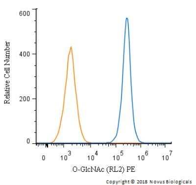 Flow Cytometry: O-GlcNAc Antibody (RL2) - Azide and BSA Free [NBP2-80892]
