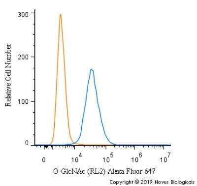 Flow Cytometry: O-GlcNAc Antibody (RL2) - Azide and BSA Free [NBP2-80892]
