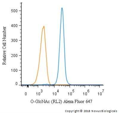 Flow Cytometry: O-GlcNAc Antibody (RL2) - Azide and BSA Free [NBP2-80892]